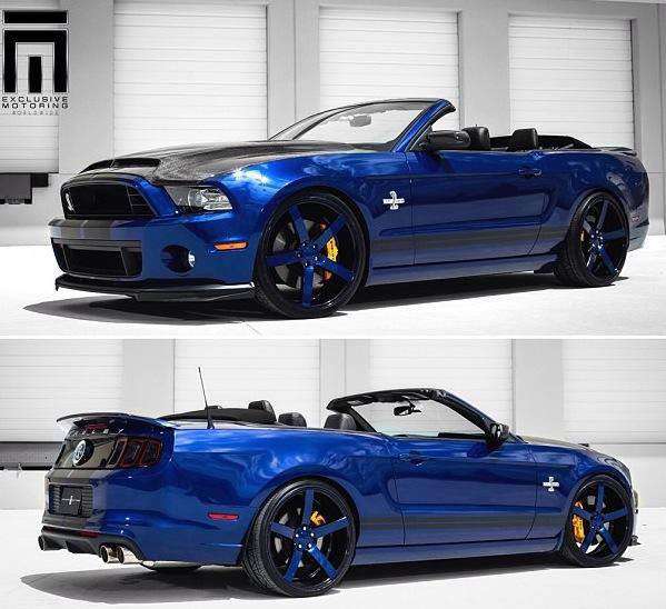 �lerlemek �&ccedil;in L&uuml;tfen Foto�raf�n &Uuml;zerine T�klay�n�z >>