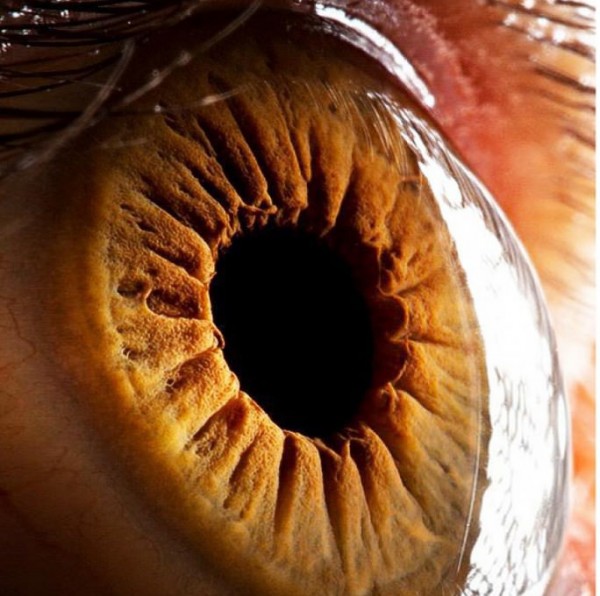 �lerlemek �&ccedil;in L&uuml;tfen Foto�raf�n &Uuml;zerine T�klay�n�z >>