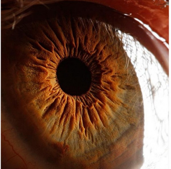 �lerlemek �&ccedil;in L&uuml;tfen Foto�raf�n &Uuml;zerine T�klay�n�z >>