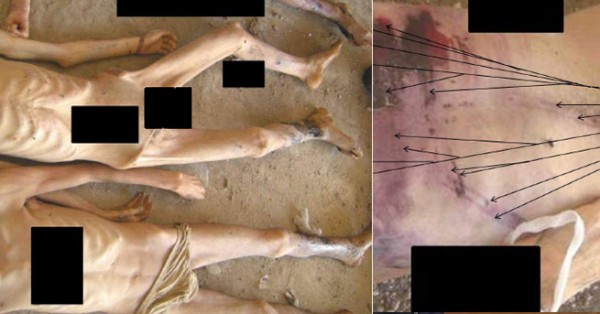 �lerlemek �&ccedil;in L&uuml;tfen Foto�raf�n &Uuml;zerine T�klay�n�z >>