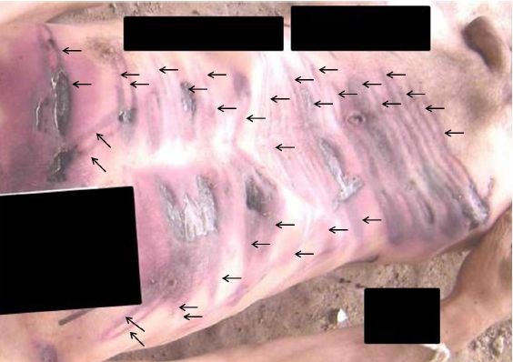 �lerlemek �&ccedil;in L&uuml;tfen Foto�raf�n &Uuml;zerine T�klay�n�z >>