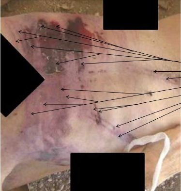 �lerlemek �&ccedil;in L&uuml;tfen Foto�raf�n &Uuml;zerine T�klay�n�z >>